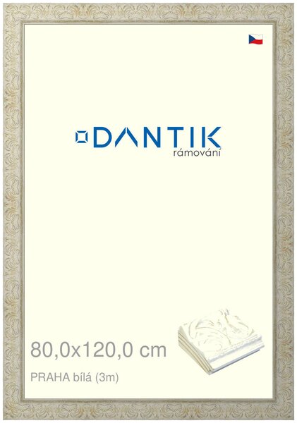 DANTIK rám na obraz 80x120 | PRAHA Bílá (Plexi Čiré)