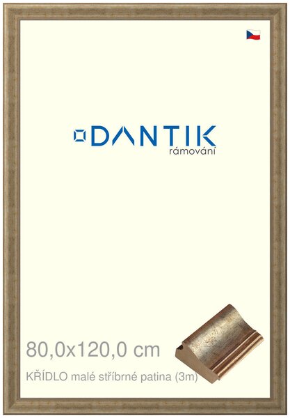 DANTIK rám na obraz 80x120 | KŘÍDLO malé stříbrné patina (Plexi Čiré)