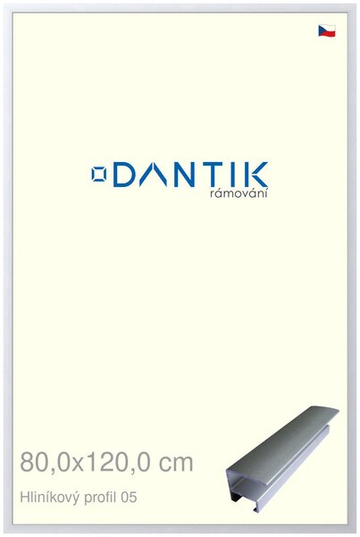 DANTIK rám na obraz 80x120 | ALU Stříbrná matná (Plexi Čiré)
