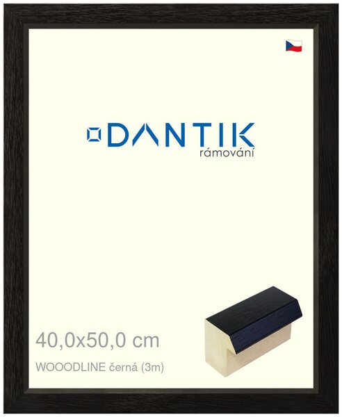 DANTIK rám na obraz 40x50 | WOODLINE černá (Plexi Čiré)
