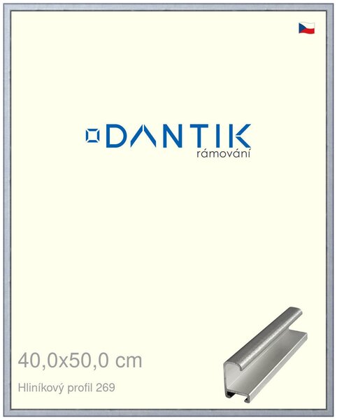 DANTIK rám na obraz 40x50 | ALU Sstříbrná broušená (Plexi Čiré)