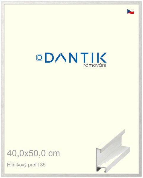 DANTIK rám na obraz 40x50 | ALU Dýha bílá (Plexi Čiré)