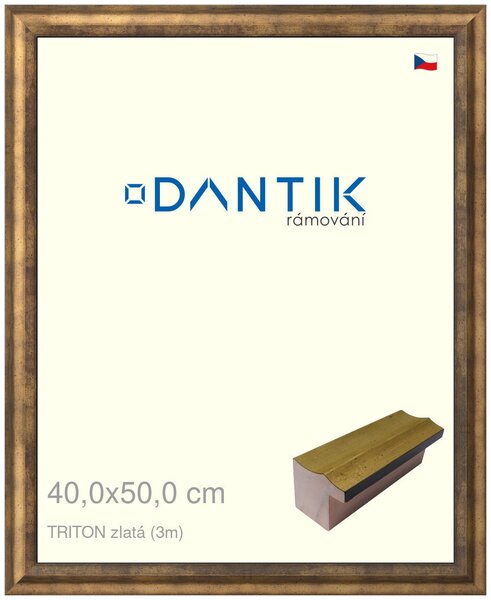 DANTIK rám na obraz 40x50 | TRITON zlatá (Plexi Čiré)