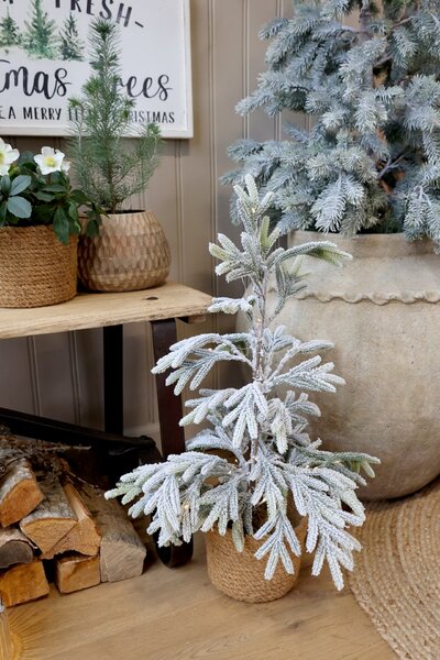 Vonkajší svietiaci LED stromček Pine Outdoor 65 cm