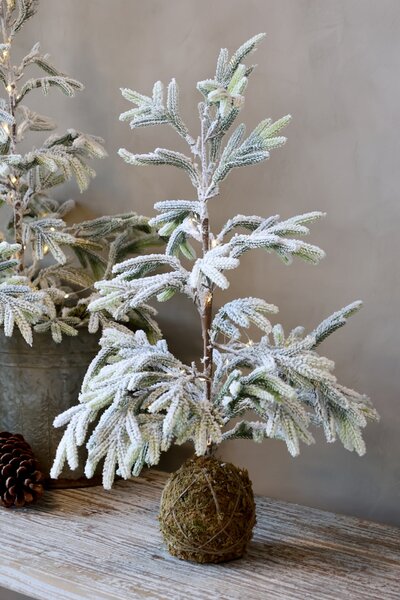 Vonkajší svietiaci LED stromček Pine Outdoor 65 cm
