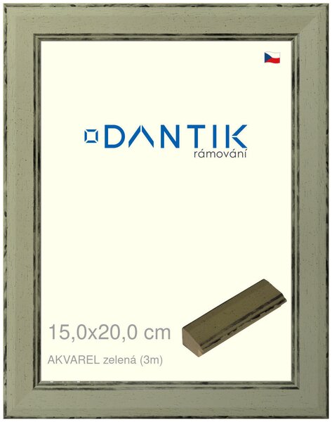 DANTIK rám na obraz 15x20 | AKVAREL zelená (Sklo Čiré)