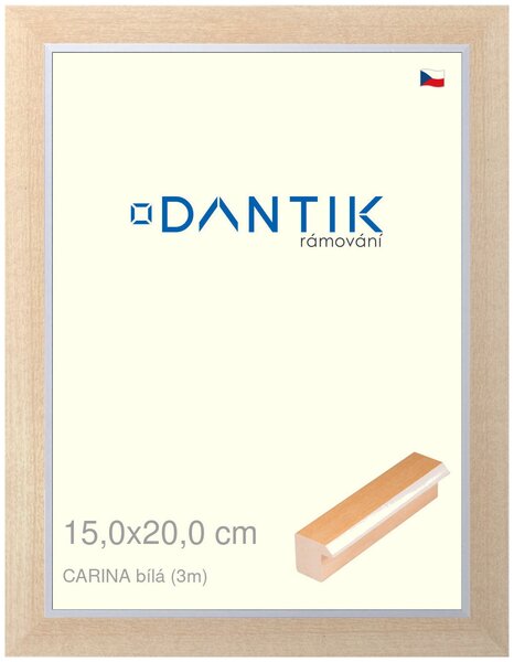 DANTIK rám na obraz 15x20 | CARINA Bílá (Sklo Čiré)