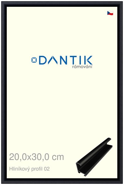 DANTIK rám na obraz 20x30 | ALU Černá matná (Sklo Čiré)