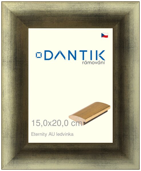 DANTIK rám na obraz 15x20 | LEDVINKA Eternity AU (Sklo Čiré)