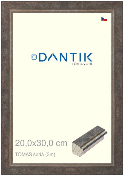 DANTIK rám na obraz 20x30 | TOMAS šedá (Sklo Čiré)