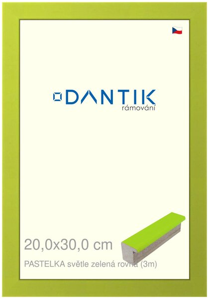 DANTIK rám na obraz 20x30 | PASTELKA světlezelená rovná (Sklo Čiré)