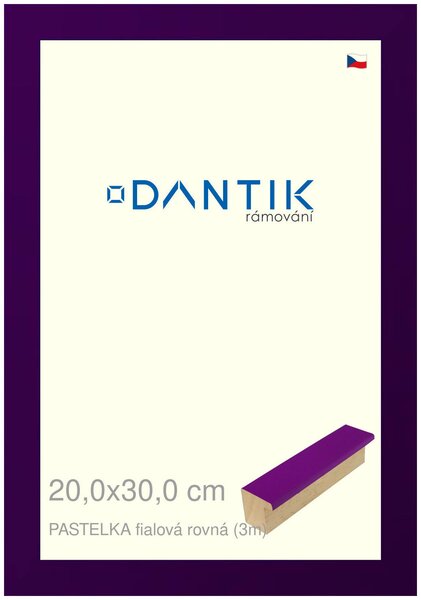 DANTIK rám na obraz 20x30 | PASTELKA fialová rovná (Sklo Čiré)