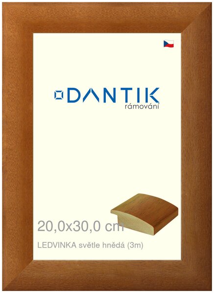 DANTIK rám na obraz 20x30 | LEDVINKA světle hnědá (Sklo Čiré)