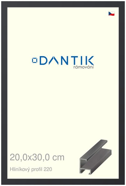 DANTIK rám na obraz 20x30 | ALU Černá matná (Sklo Čiré)