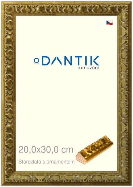 DANTIK rám na obraz 20x30 | Starozlatá s ornamentem (Sklo Čiré)