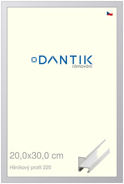 DANTIK rám na obraz 20x30 | ALU Bílá matná (Sklo Čiré)