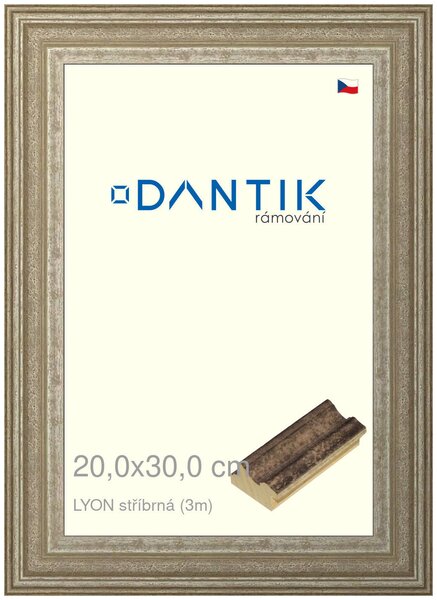 DANTIK rám na obraz 20x30 | LYON stříbrná (Sklo Čiré)