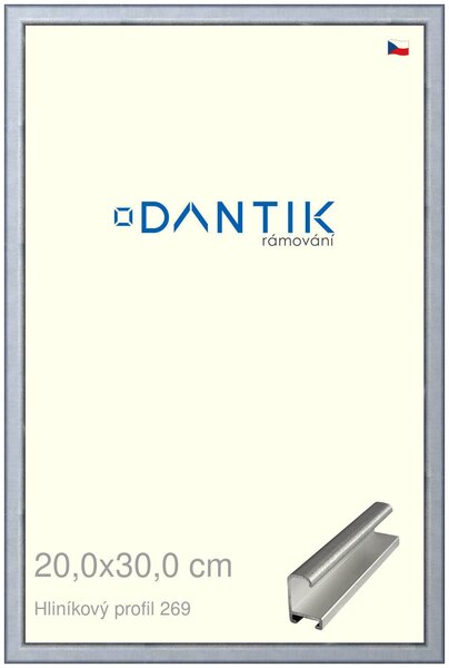 DANTIK rám na obraz 20x30 | ALU Sstříbrná broušená (Sklo Čiré)