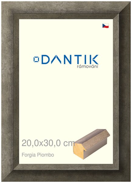 DANTIK rám na obraz 20x30 | Forgia Piombo (Sklo Čiré)