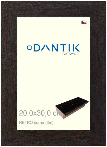 DANTIK rám na obraz 20x30 | RETRO černá (Sklo Čiré)