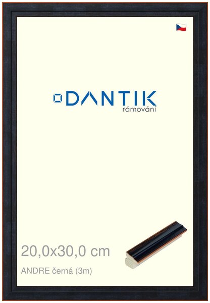 DANTIK rám na obraz 20x30 | ANDRE černá (Sklo Čiré)