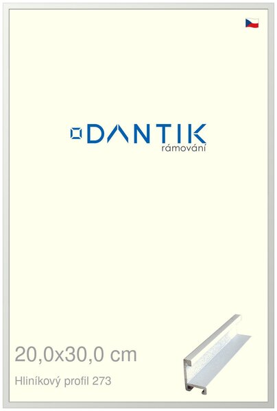 DANTIK rám na obraz 20x30 | ALU Bílá matná (Sklo Čiré)