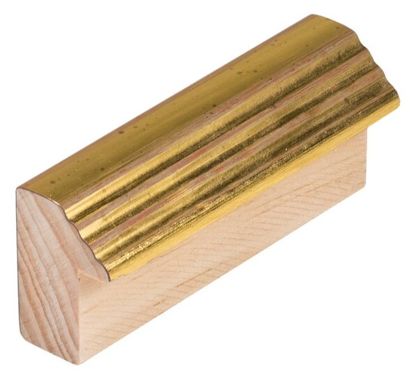 DANTIK rám na obraz 20x30 | ANTIK zlatá malá (Sklo Čiré)
