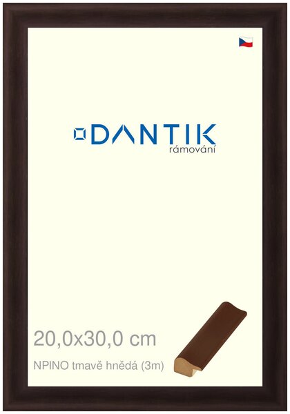 DANTIK rám na obraz 20x30 | NPINO tmavě hnědá (Sklo Čiré)