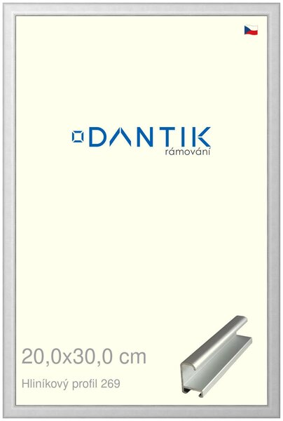 DANTIK rám na obraz 20x30 | ALU Stříbrná matná (Sklo Čiré)