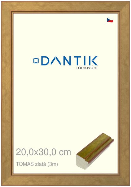 DANTIK rám na obraz 20x30 | TOMAS zlatá (Sklo Čiré)