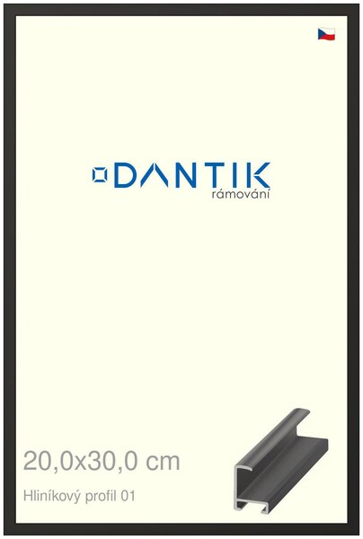 DANTIK rám na obraz 20x30 | ALU Černá matná (Sklo Čiré)