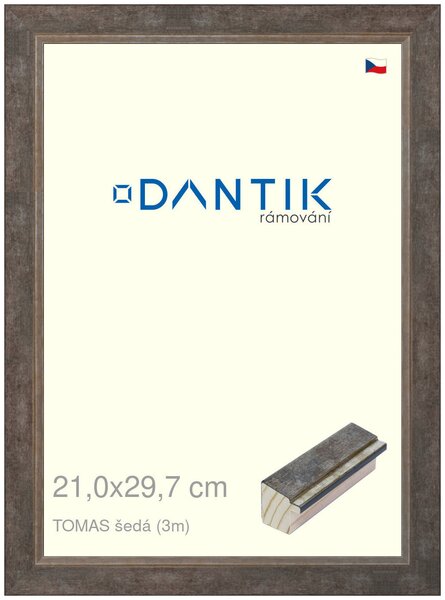 DANTIK rám na obraz 21x29,7 | TOMAS šedá (Sklo Čiré)