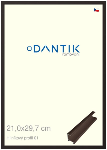 DANTIK rám na obraz 21x29,7 | ALU Hnědá matná (Sklo Čiré)