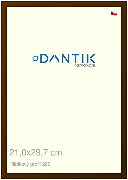 DANTIK rám na obraz 21x29,7 | ALU Hnědá umbra broušená (Sklo Čiré)