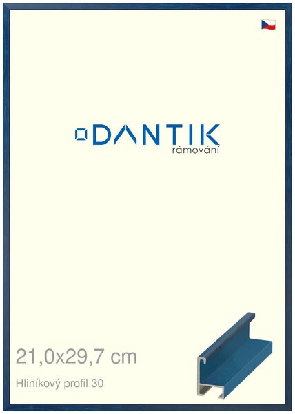 DANTIK rám na obraz 21x29,7 | ALU Dýha barevná modrá královská (Sklo Čiré)