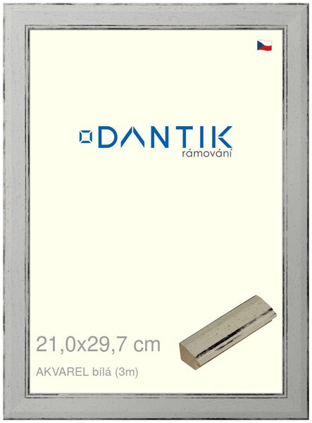 DANTIK rám na obraz 21x29,7 | AKVAREL Bílá (Sklo Čiré)