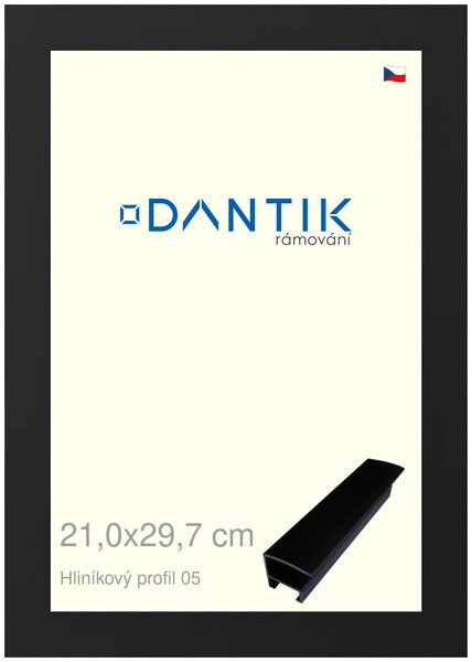 DANTIK rám na obraz 21x29,7 | ALU Černá matná (Sklo Čiré)