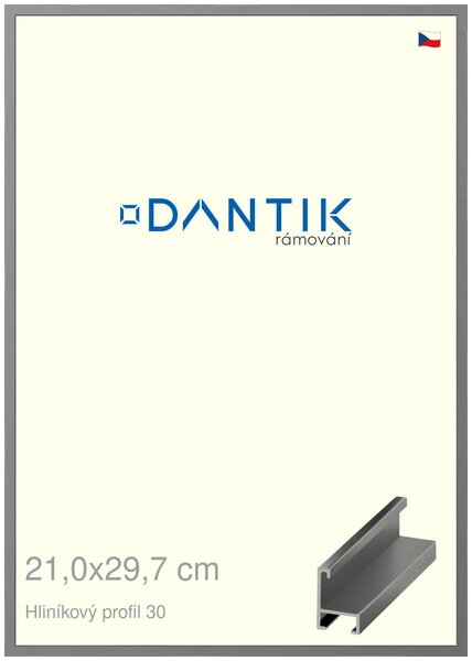 DANTIK rám na obraz 21x29,7 | ALU Ocelová (Sklo Čiré)