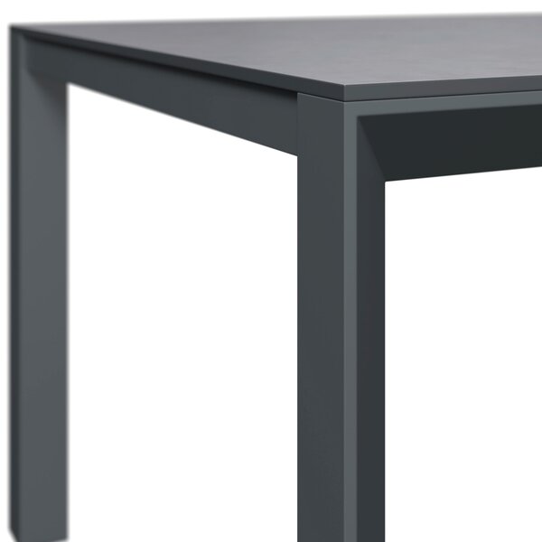 ZÁHRADNÝ STÔL, kov, plast, 220/100/75 cm Amatio - Záhradné stoly