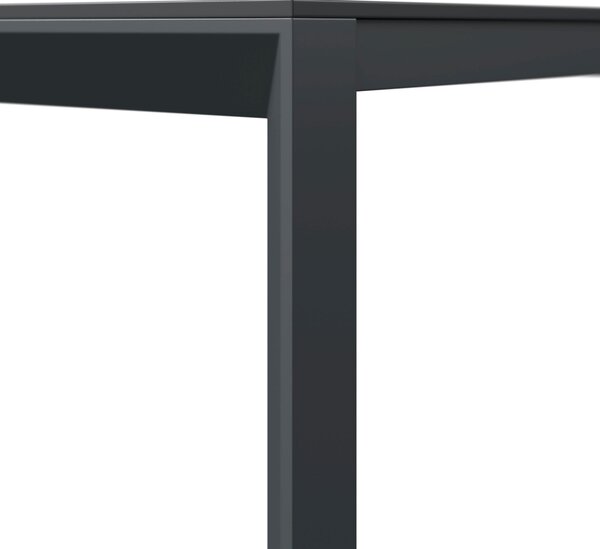 ZÁHRADNÝ STÔL, kov, plast, 220/100/75 cm Amatio - Záhradné stoly