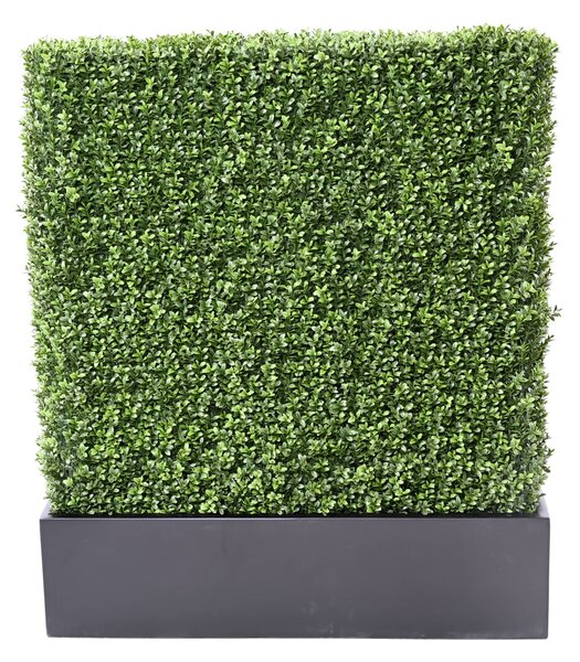 Zástena buxus 100cm x 60cm