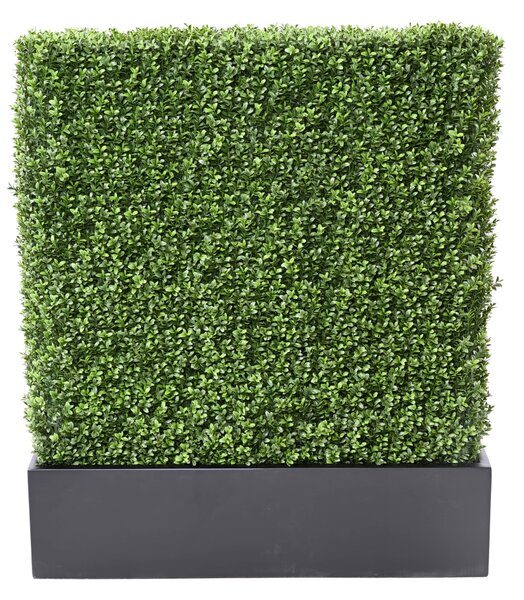 Zástena buxus 100cm x 60cm
