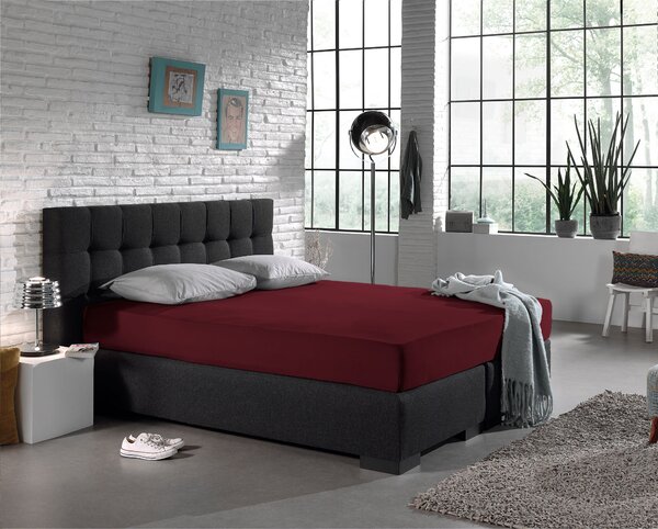 DreamHouse Prestieradlo Jersey Bordeaux Veľkosť: 160/180 x 200