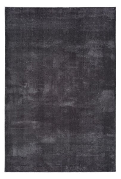 Shaggy koberec Rabbit 62 Anthracite – viacfarebný obdĺžnik Rozmer: 40x60 cm