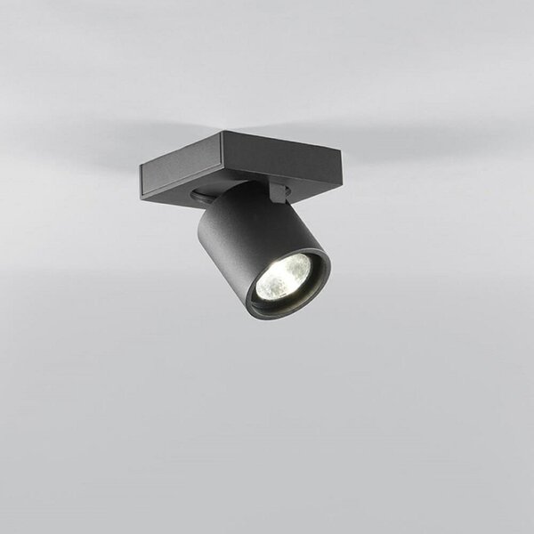 Stropné Lampa LIGHT-POINT, stmievateľné, Čierna, Obývacia izba, Hliník