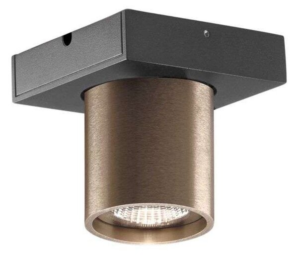 Stropné Lampa LIGHT-POINT, stmievateľné, Bronzová / Stará Mosadz, Obývacia izba, Hliník