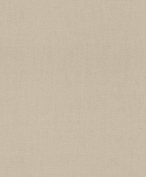 RASCH | Vliesová tapeta na stenu Florentine 484540 | 0,53 x 10,05 m | hnedá, béžová