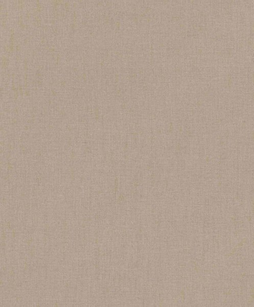 RASCH | Vliesová tapeta na stenu Florentine 484656 | 0,53 x 10,05 m | hnedá