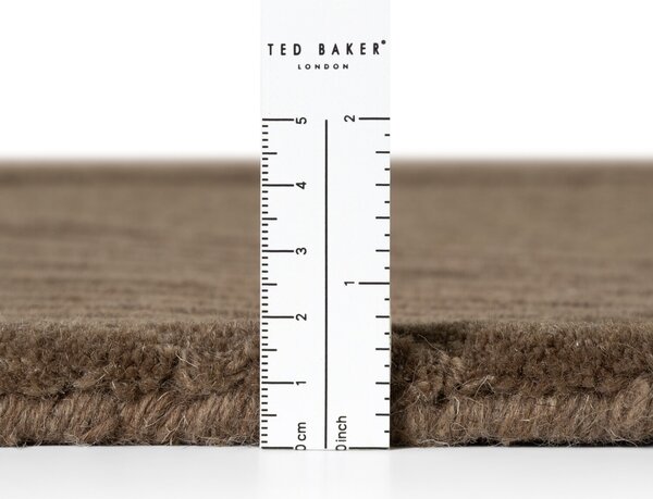 Ted Baker , Kusový koberec Kensington 106401 Braun, 120x170, hnedá, kancelária