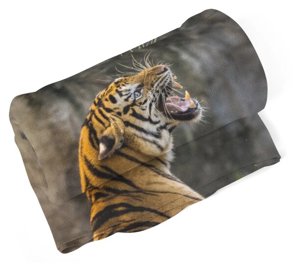 Sablio Deka Revúci tiger - 150x120 cm